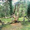 images/Schweden/Schweden 2009/IMG_4479.jpg